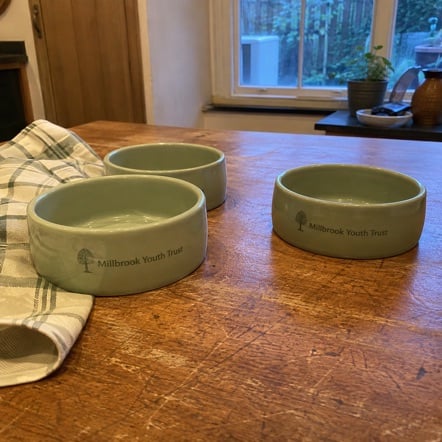 Promotional custom dog bowls with company logo